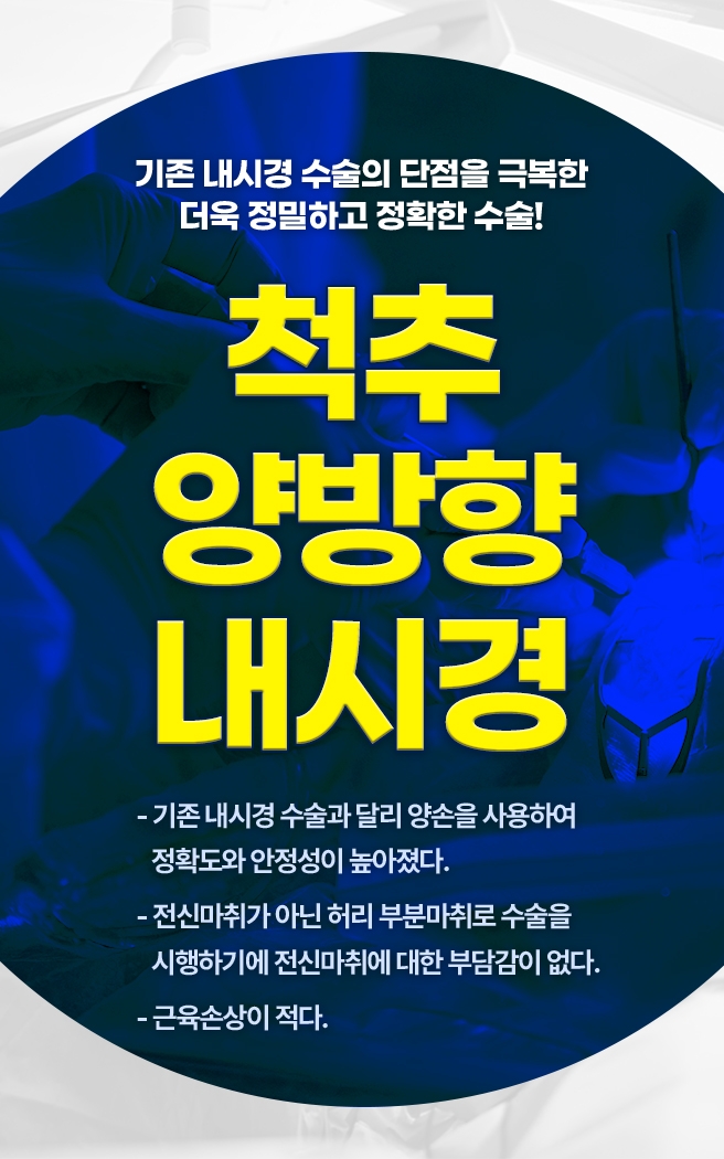 척추양방향내시경